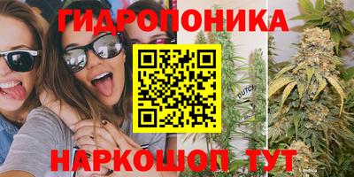 a pvp Заводоуковск